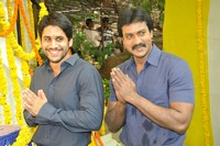 Naga Chaitanya Sunil Movie Opening
